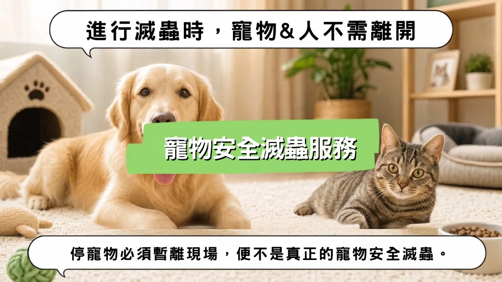 寵物安全滅蟲現場評估